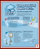 [One of a series of interpretive panels completed for the North Kessock Dolphin and Seal Centre, produced in collaboration with Artysans and reproduced courtesy of The Highland council's Planning and Development Service.]